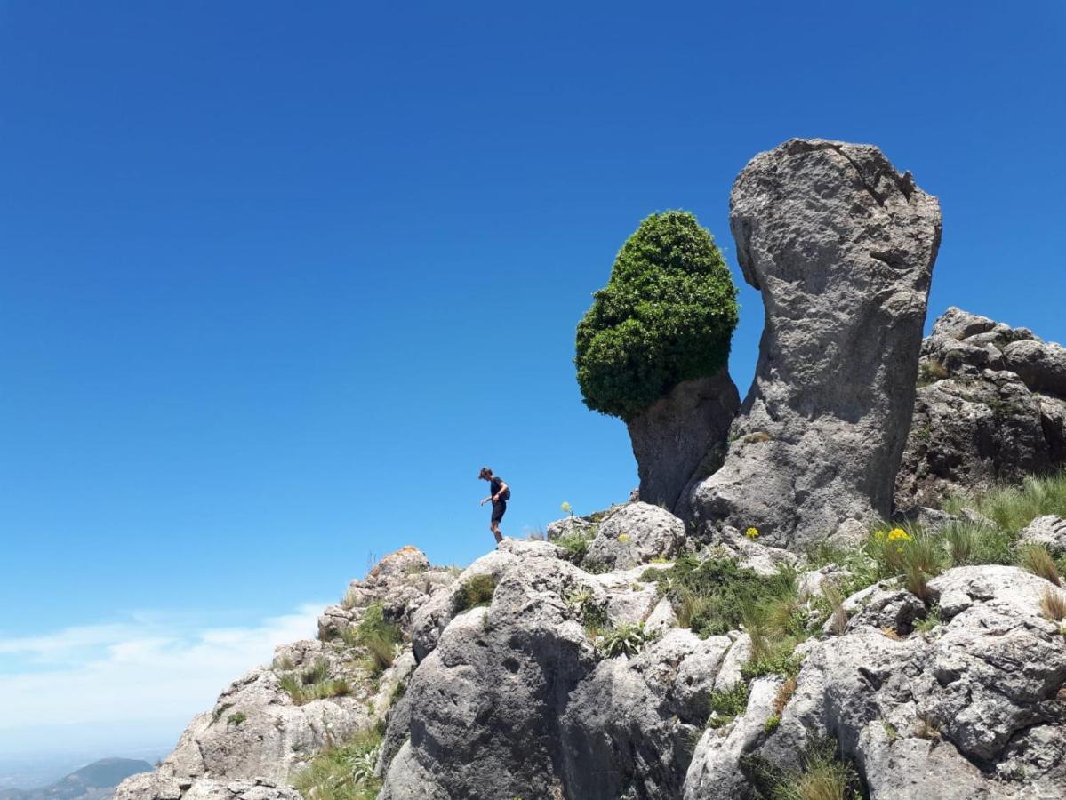 La Posada Amena Carcabuey Dış mekan fotoğraf