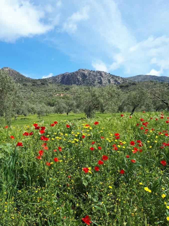 La Posada Amena Carcabuey Dış mekan fotoğraf