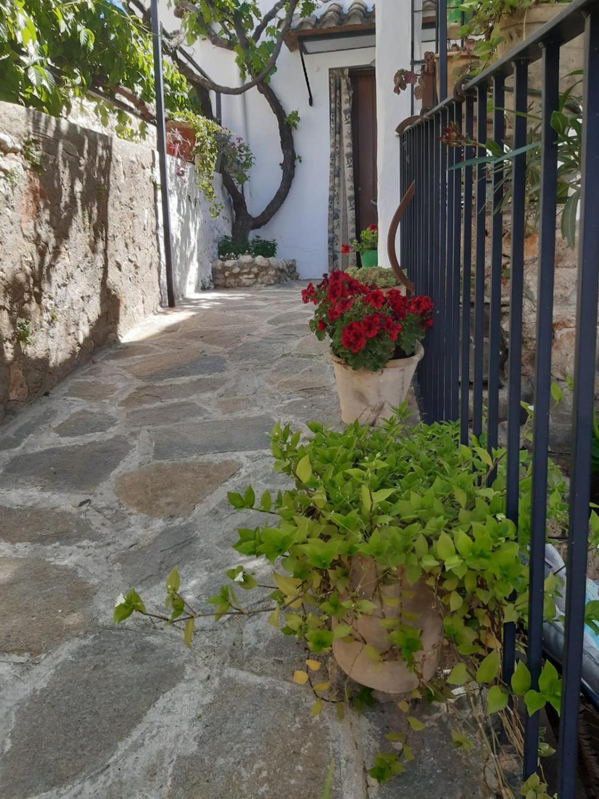 La Posada Amena Carcabuey Dış mekan fotoğraf